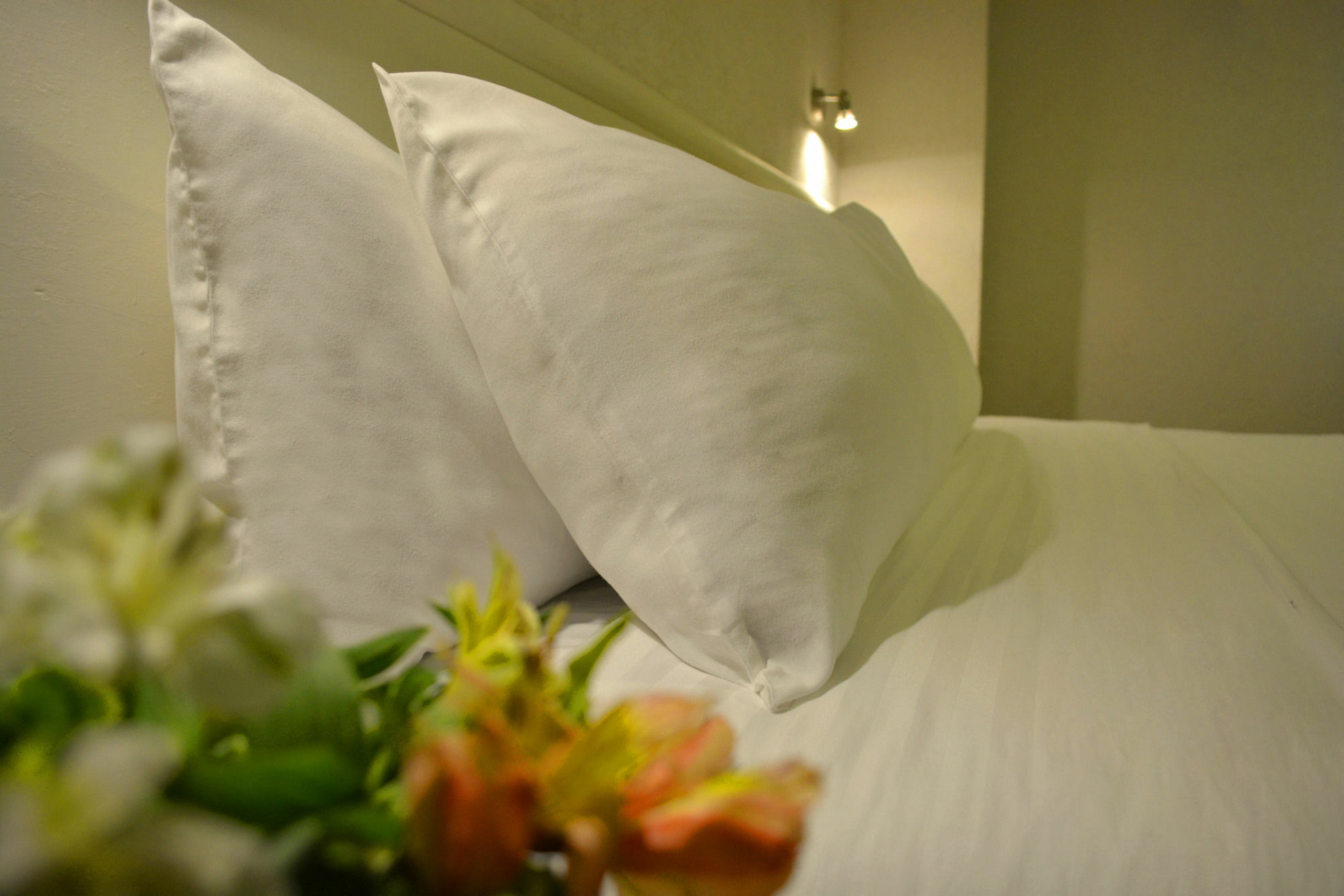 Eco Express Hotel Zamora Zamora de Hidalgo Dış mekan fotoğraf