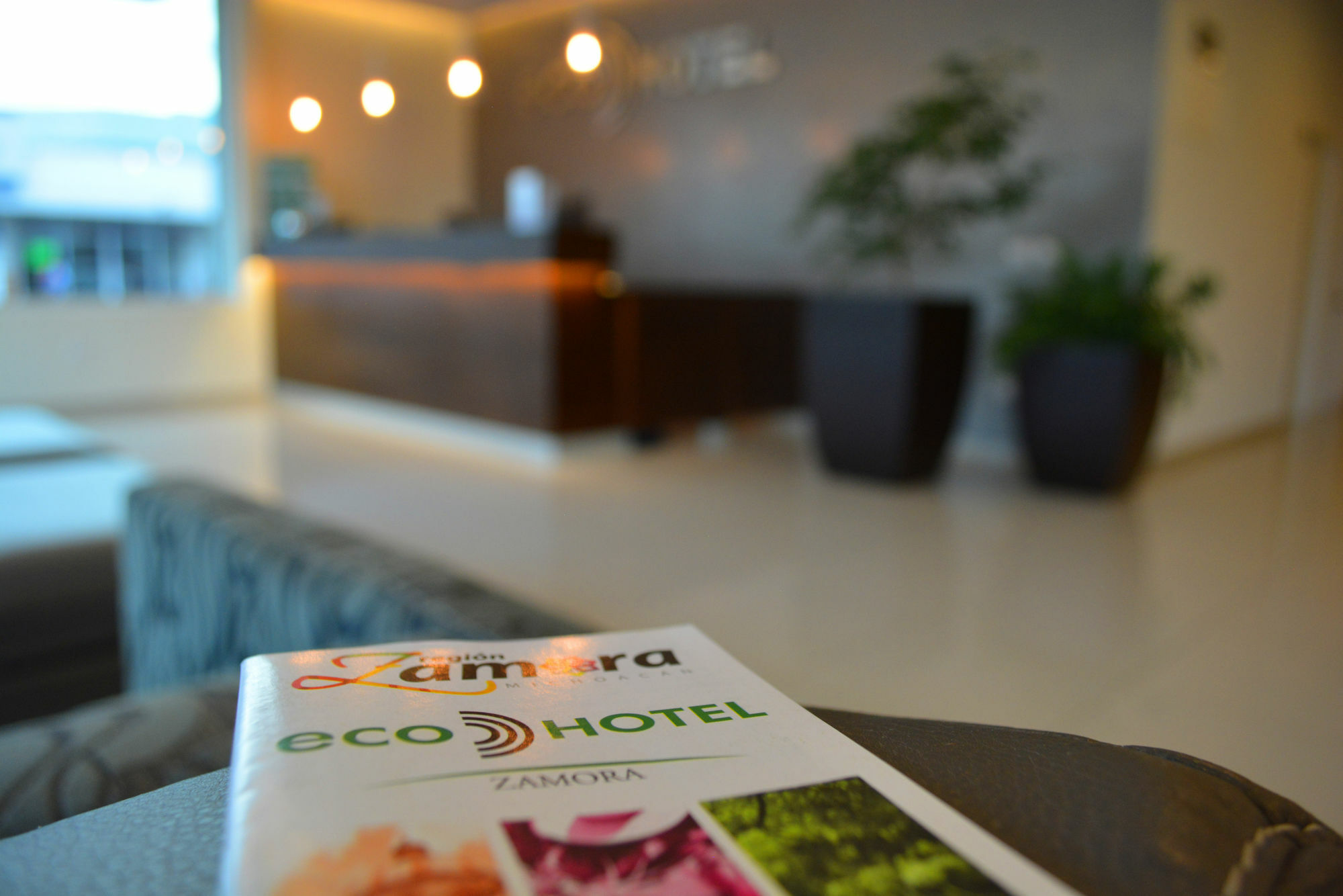 Eco Express Hotel Zamora Zamora de Hidalgo Dış mekan fotoğraf